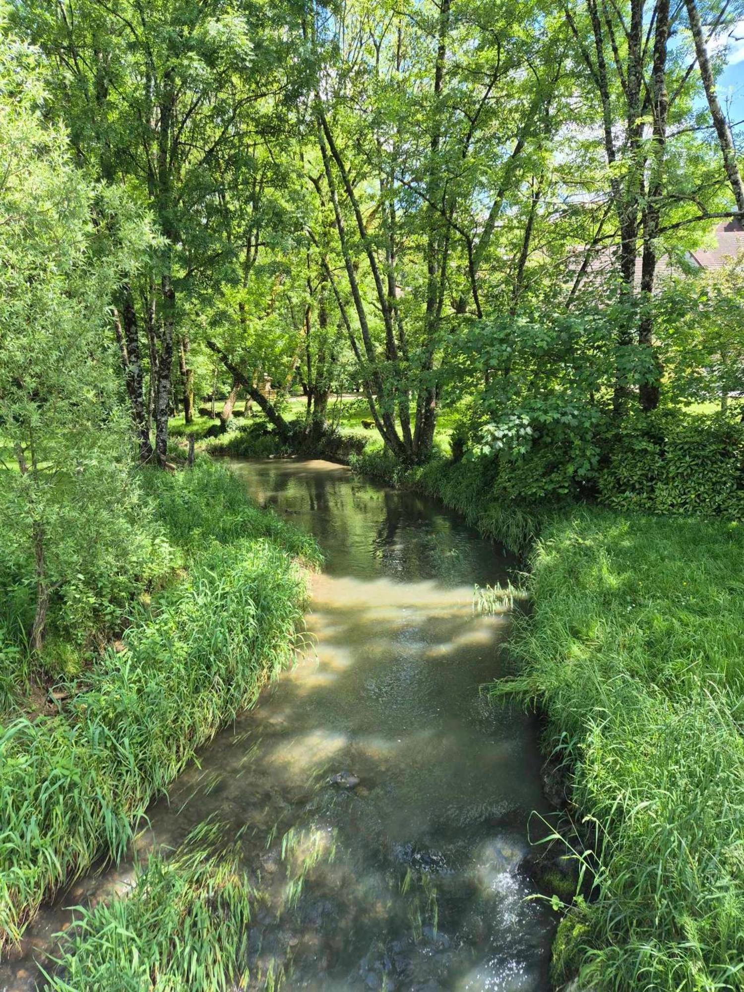 Au Lavoir Du Serein "L'Eventail" Saint-Germain-lès-Arlay エクステリア 写真