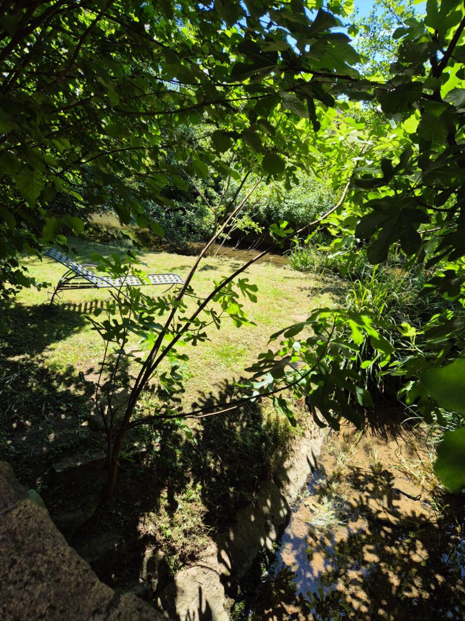 Au Lavoir Du Serein "L'Eventail" Saint-Germain-lès-Arlay エクステリア 写真